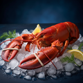 Fresh Norwegian Lobster on ice