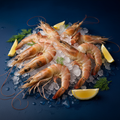 Fresh Norwegian Shrimp on ice